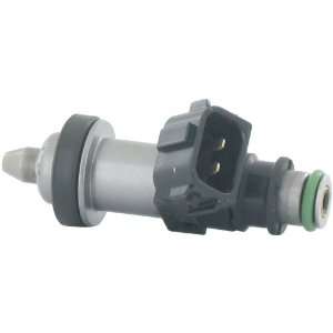 Python Injection 621 305 Fuel Injector Automotive