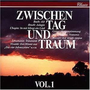 Zwischen Tag und Traum Vol. 1 Various  Musik