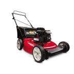  21 in. Briggs and Stratton 158cc Rear Bagger Push 