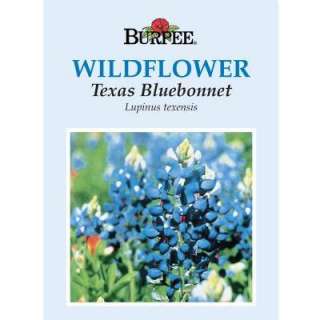 Burpee Texas Bluebonnet Wildflower Seed 44784  