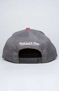 Mitchell & Ness The Chicago Bulls Arch Logo G2 Snapback Hat in Gray 