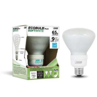   CFL Light Bulb (12 Pack) (E)* ESL15BR30/ECO/12 at The Home Depot