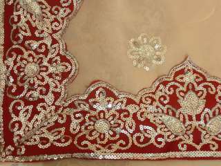 Bollywood Wedding Chiffon Saree Sari BellyDance Curtain  
