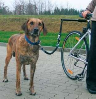 BIKER SET FAHRRADHALTER ABSTANDHALTER FÜR HUNDE FAHRRAD in 