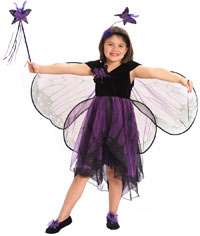 Purple and Black Butterfly Costume   Fairy Costumes