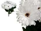 56 White Silk GERBERA Daisy Wedding Party Flowers Bush
