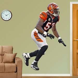  Dhani Jones Cincinnati Bengals NFL Fathead REAL.BIG Wall 