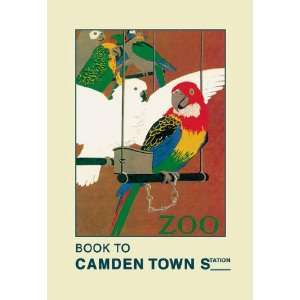 The London Zoo Exotic Birds 20x30 poster 
