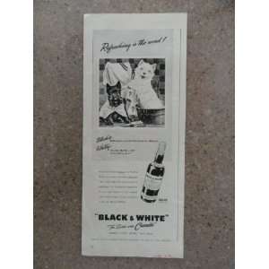  Black & White Scotch Whisky ,Vintage 40s print ad (scotty 