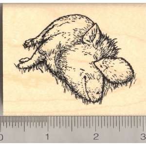 Friendship (Pot Bellied Pig and Hedgehog) Rubber Stamp 
